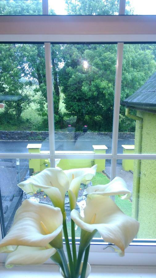 Gortnaboul House Bed & Breakfast Kilgarvan Dış mekan fotoğraf
